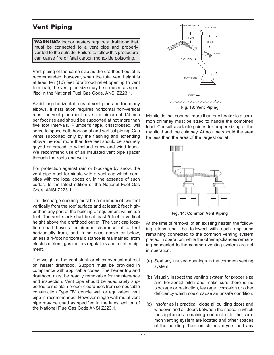 Vent piping | Raypak 1334001 User Manual | Page 17 / 52