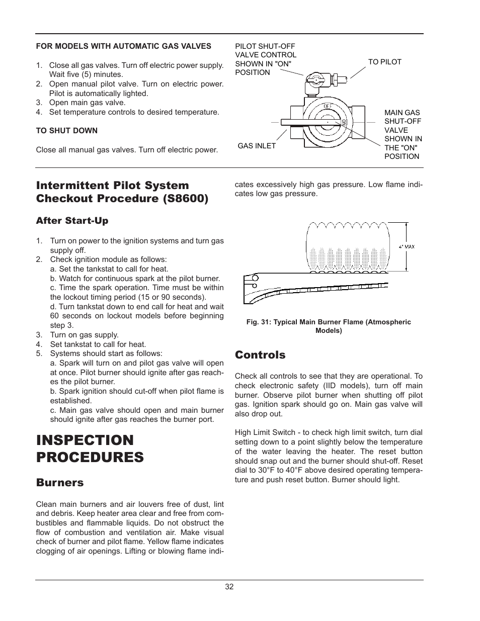 Inspectio, Procedures, Burners | Controls, Inspection procedures | Raypak 1334001 User Manual | Page 32 / 52