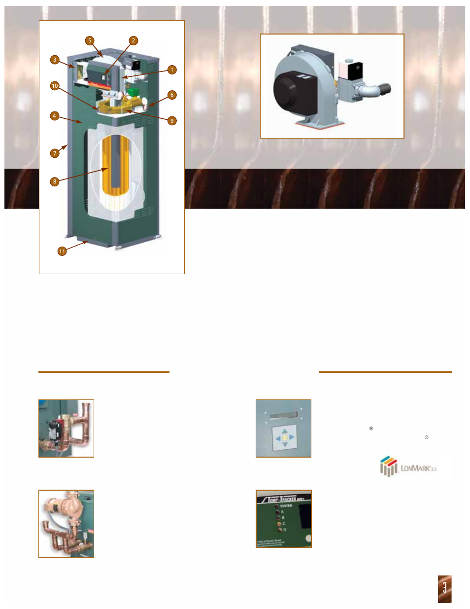 Optional equipment, Cold water solutions, Multi boiler solutions | State of the art european combustion technology | Raypak MVB 504 thru 2004 User Manual | Page 3 / 8