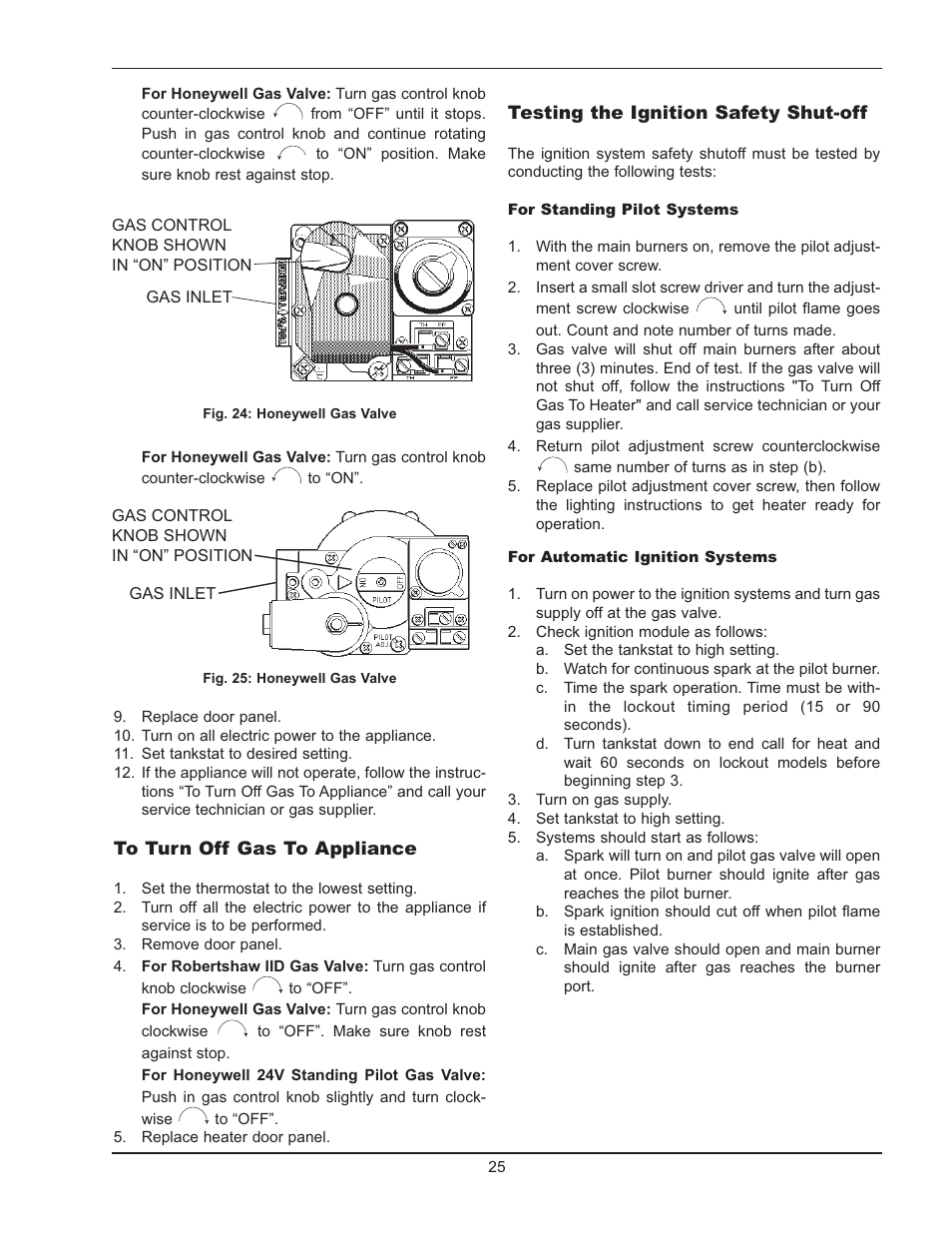 Raypak 2600401 User Manual | Page 25 / 40
