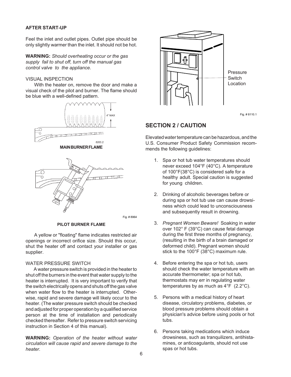 Raypak VERSA 155C User Manual | Page 6 / 35