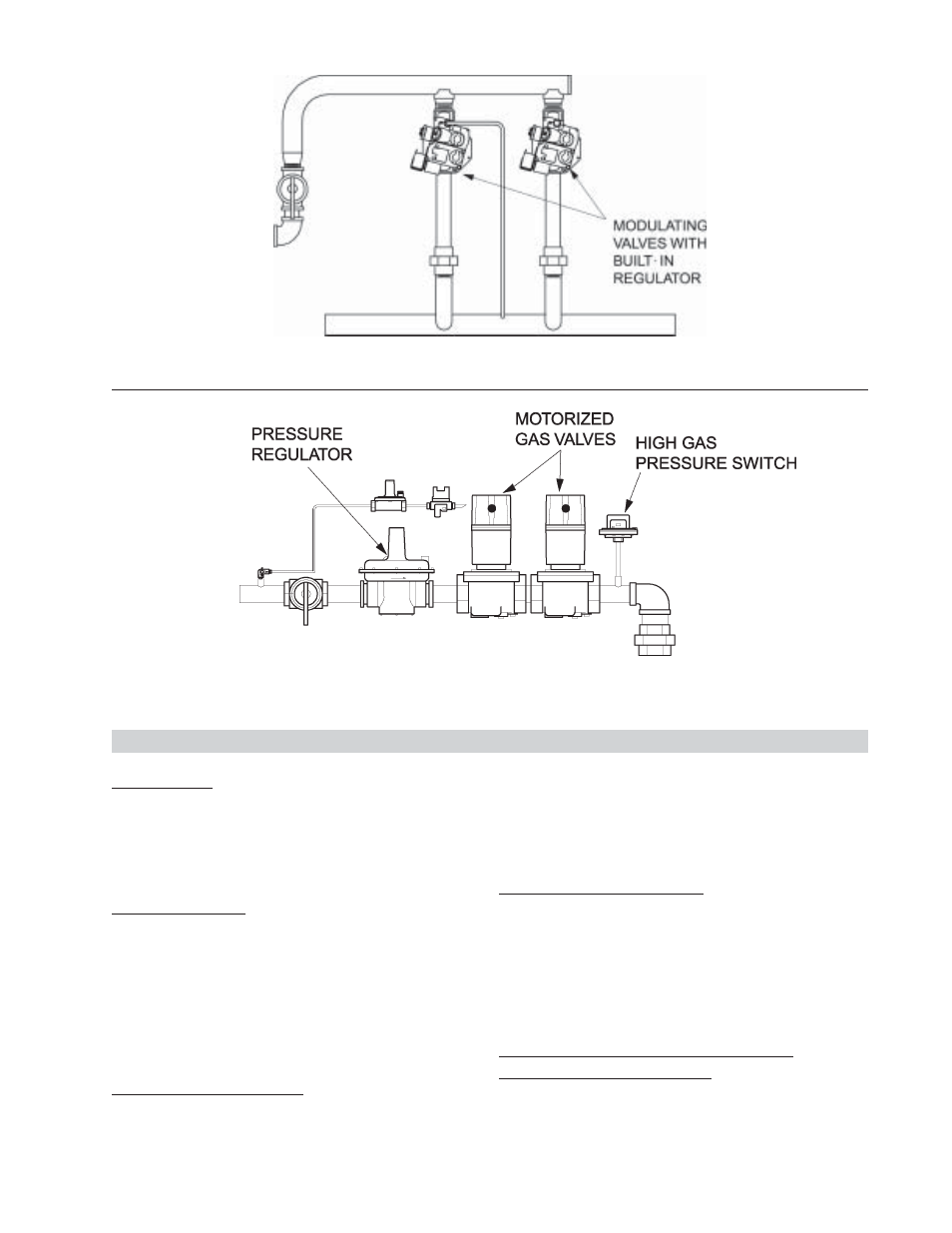 Raypak NH User Manual | Page 25 / 53