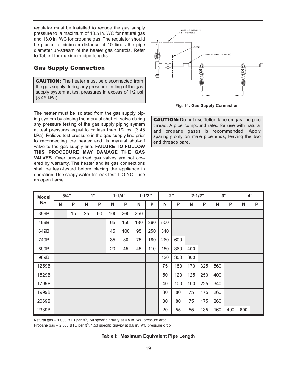Raypak 399B-2339B User Manual | Page 19 / 52