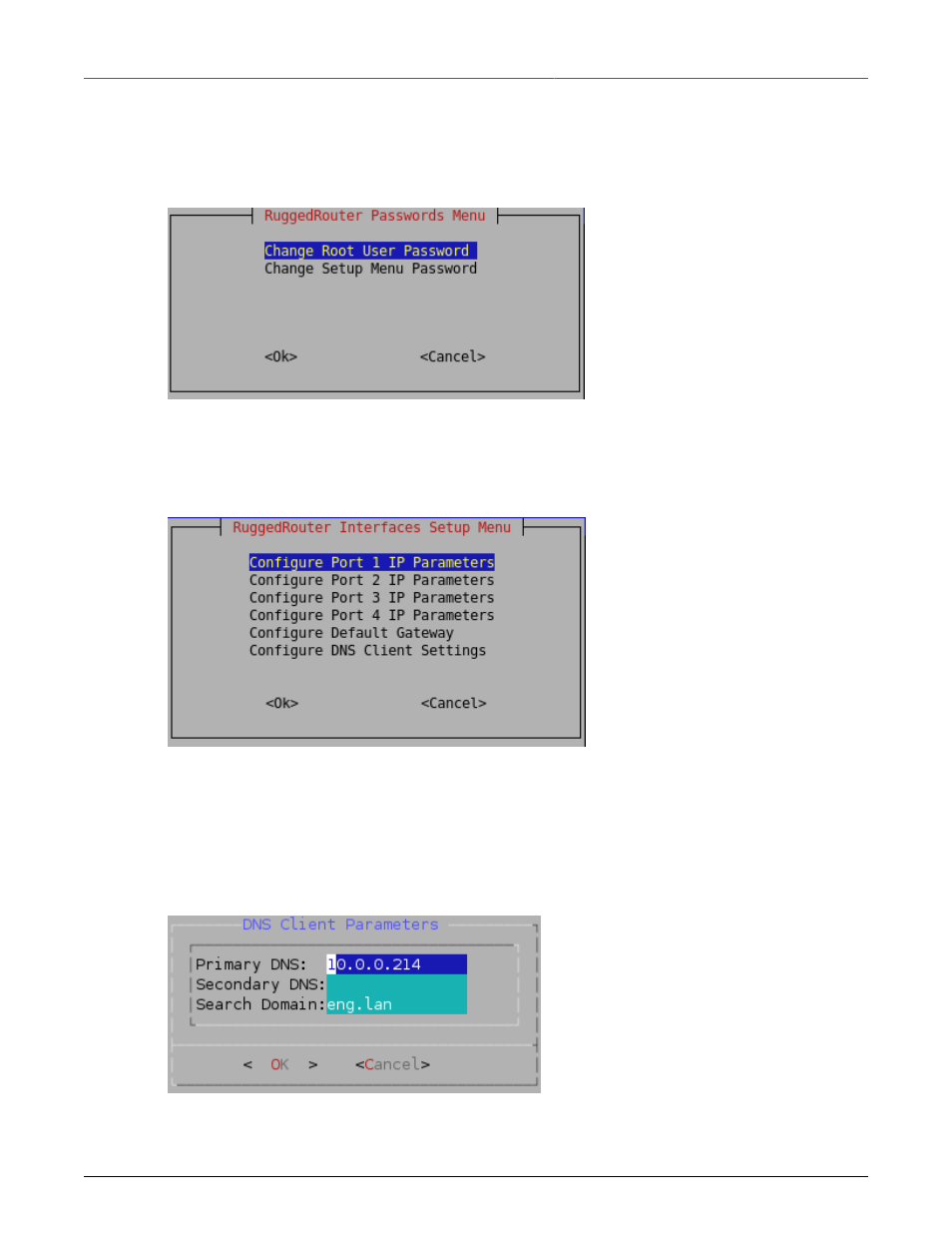 Configuring passwords, Configuring ip address information, 25 1.3.2. configuring ip address information | Ruggedrouter setup password change menu, 25 1.3. ruggedrouter interfaces setup menu, 25 1.4. ruggedrouter dns client menu | RuggedCom RuggedRouter RX1100 User Manual | Page 25 / 341