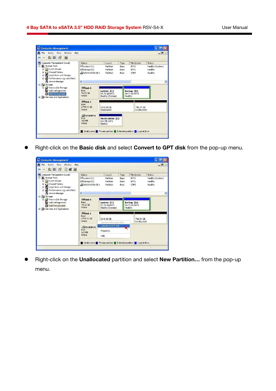 Rosewill HDD RAID RSV-S4-X User Manual | Page 50 / 111