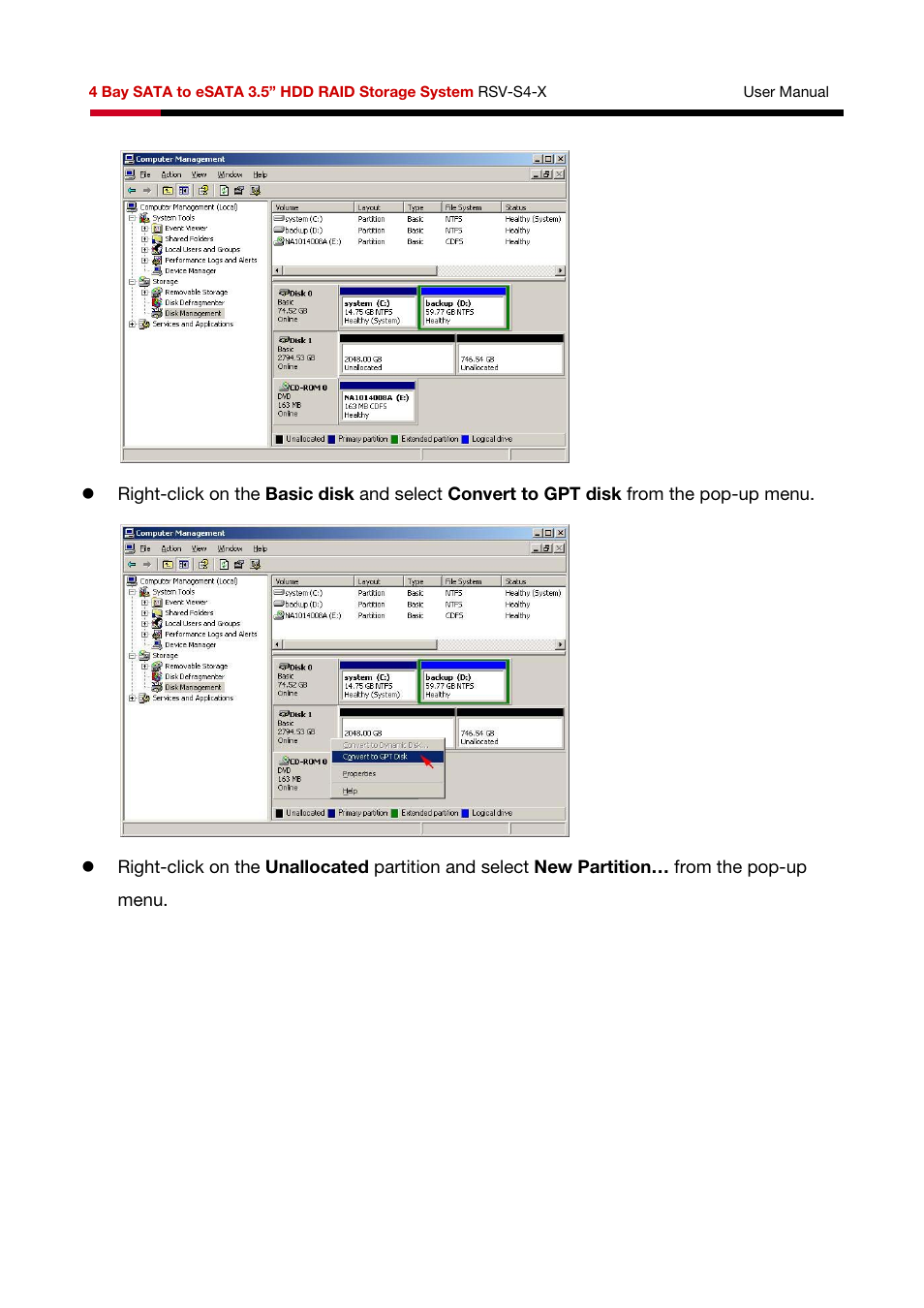 Rosewill HDD RAID RSV-S4-X User Manual | Page 66 / 111
