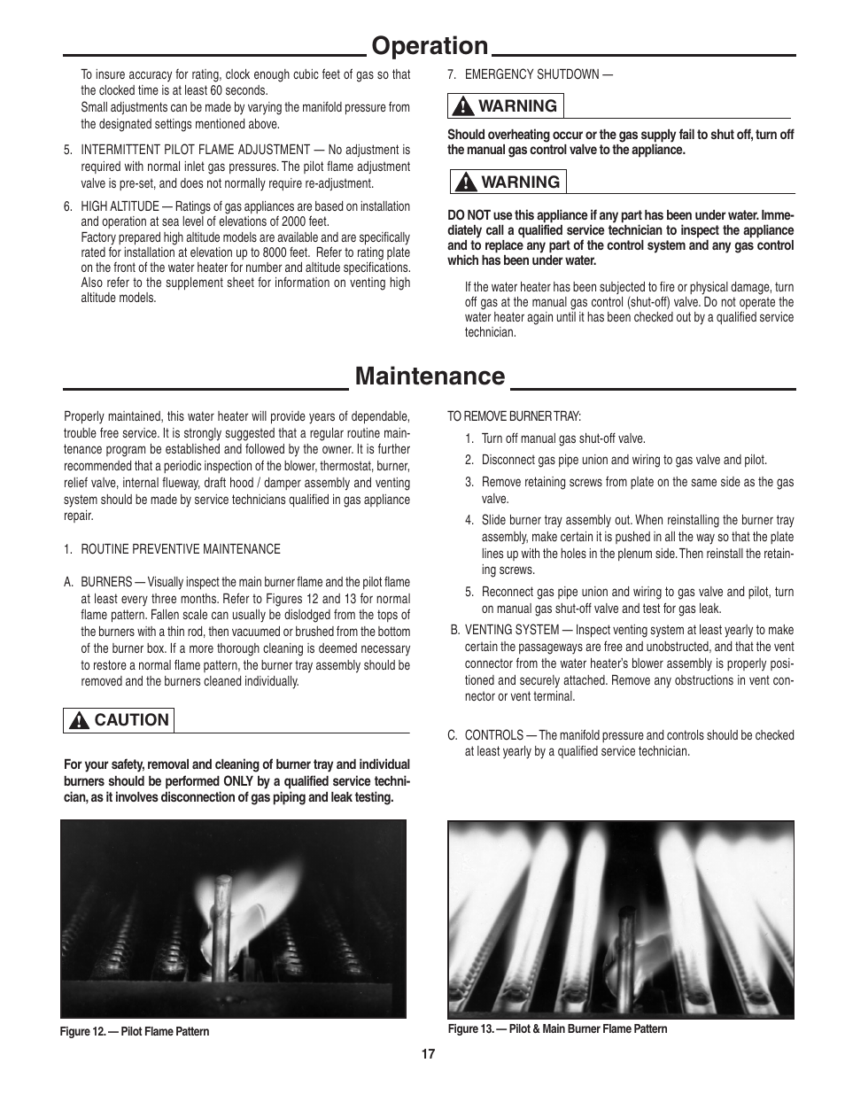 Operation maintenance | Rheem Commercial Power Direct Vent Water heater User Manual | Page 17 / 28