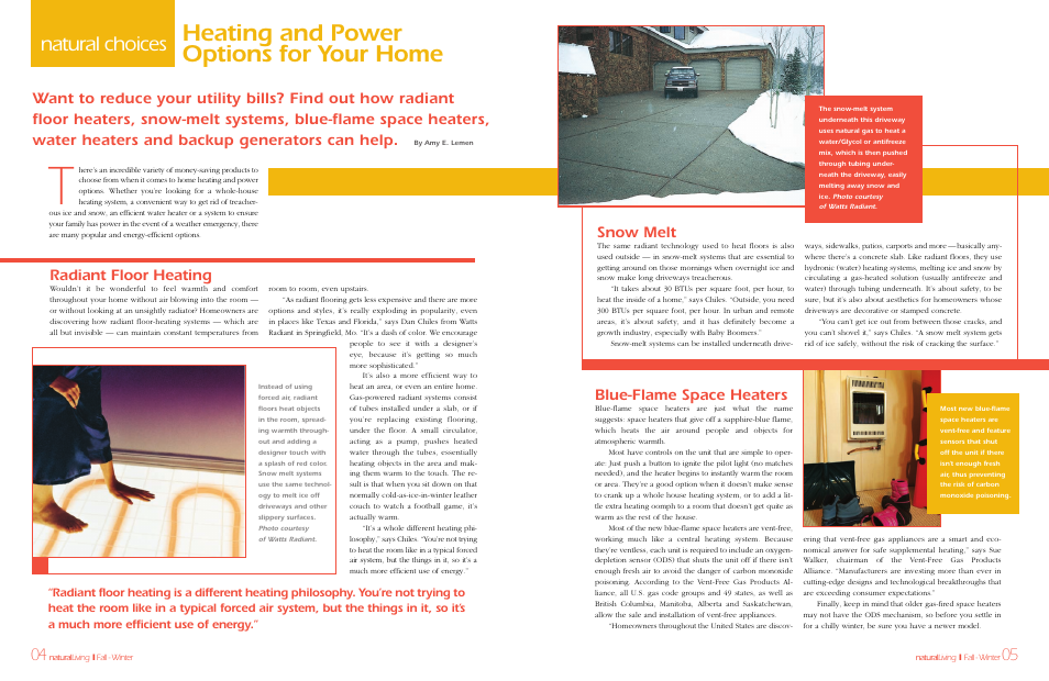 Heating and power options for your home, Natural choices, Radiant floor heating | Blue-flame space heaters, Snow melt | Regency Natural Living Gas Fireplaces User Manual | Page 3 / 9