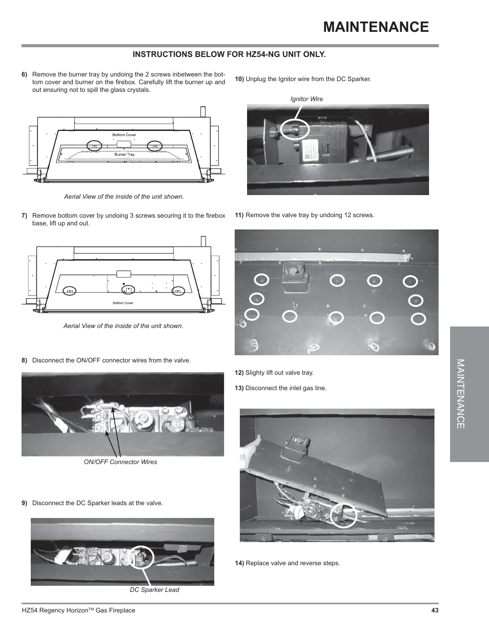 Maintenance | Regency Horizon HZ54 User Manual | Page 43 / 48