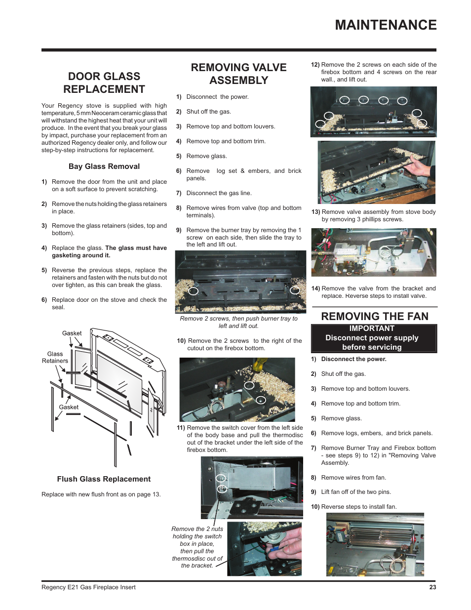 Maintenance, Removing valve assembly, Removing the fan | Door glass replacement | Regency E21-LP1 User Manual | Page 23 / 32