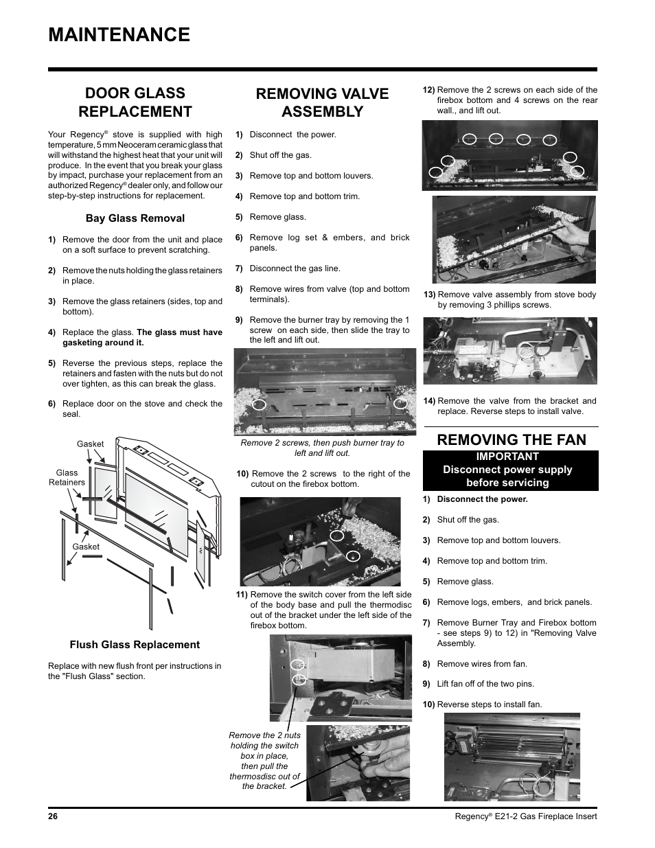 Maintenance, Removing valve assembly, Removing the fan | Door glass replacement | Regency E21-LP2 User Manual | Page 26 / 32