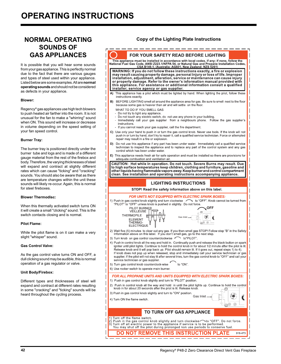 Operating instructions, Normal operating sounds of gas appliances | Regency P48-2 User Manual | Page 42 / 52