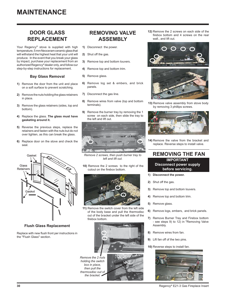 Maintenance, Removing valve assembly, Removing the fan | Door glass replacement | Regency Gas Insert E21-NG3 User Manual | Page 30 / 36