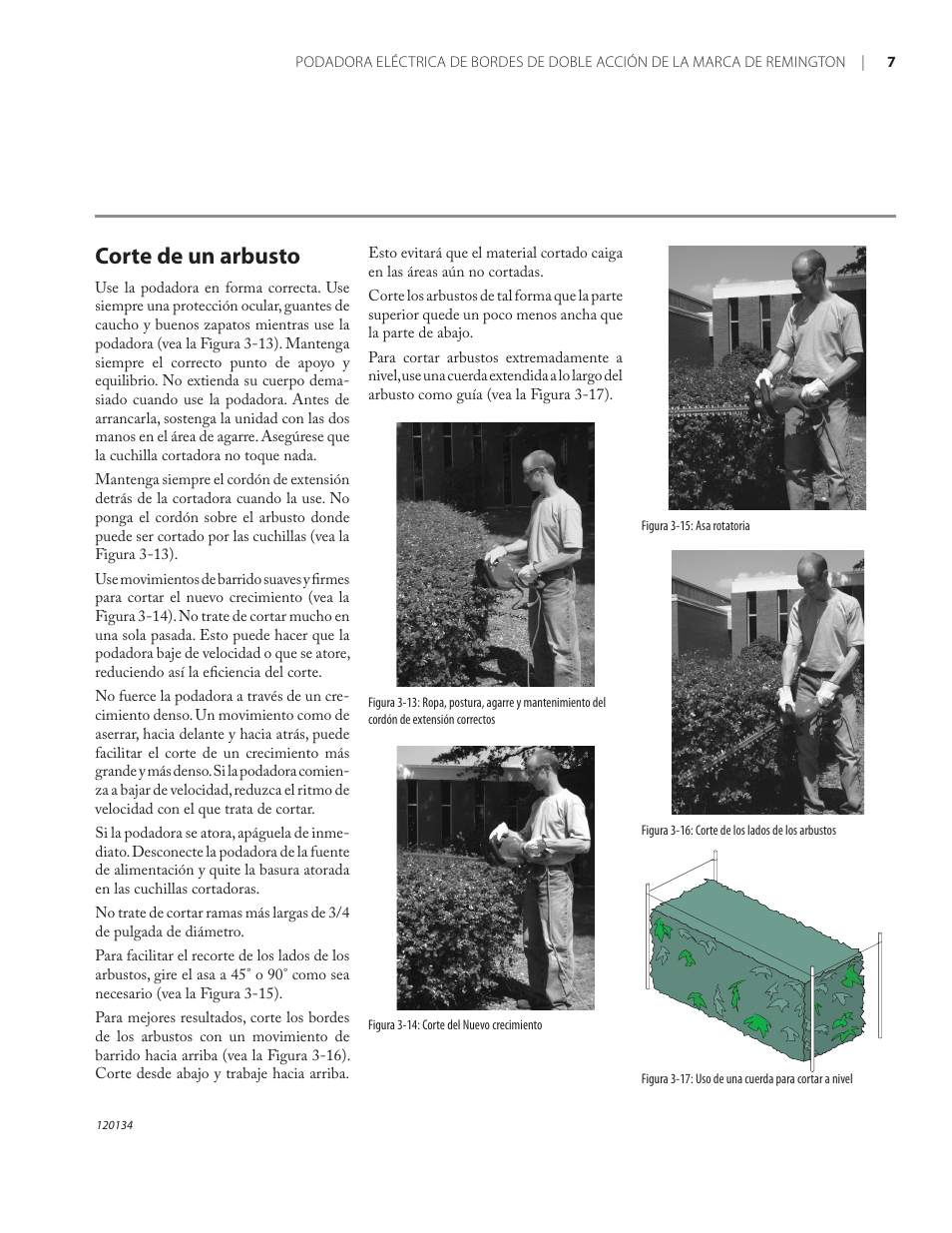 Corte de un arbusto | Remington Power Tools HT5024PHT User Manual | Page 24 / 40