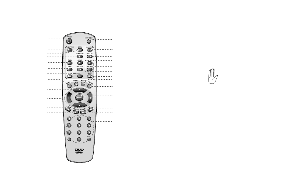 The remote control, Using the remote control | Rosen Entertainment Systems Rosen R5505 User Manual | Page 9 / 28