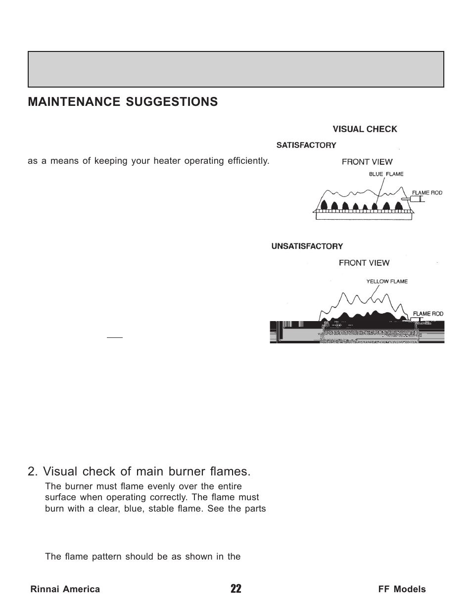 Maintenance suggestions, Cleaning, Visual check of main burner flames | Rinnai Water Heater REU-V2520FFUD User Manual | Page 22 / 48