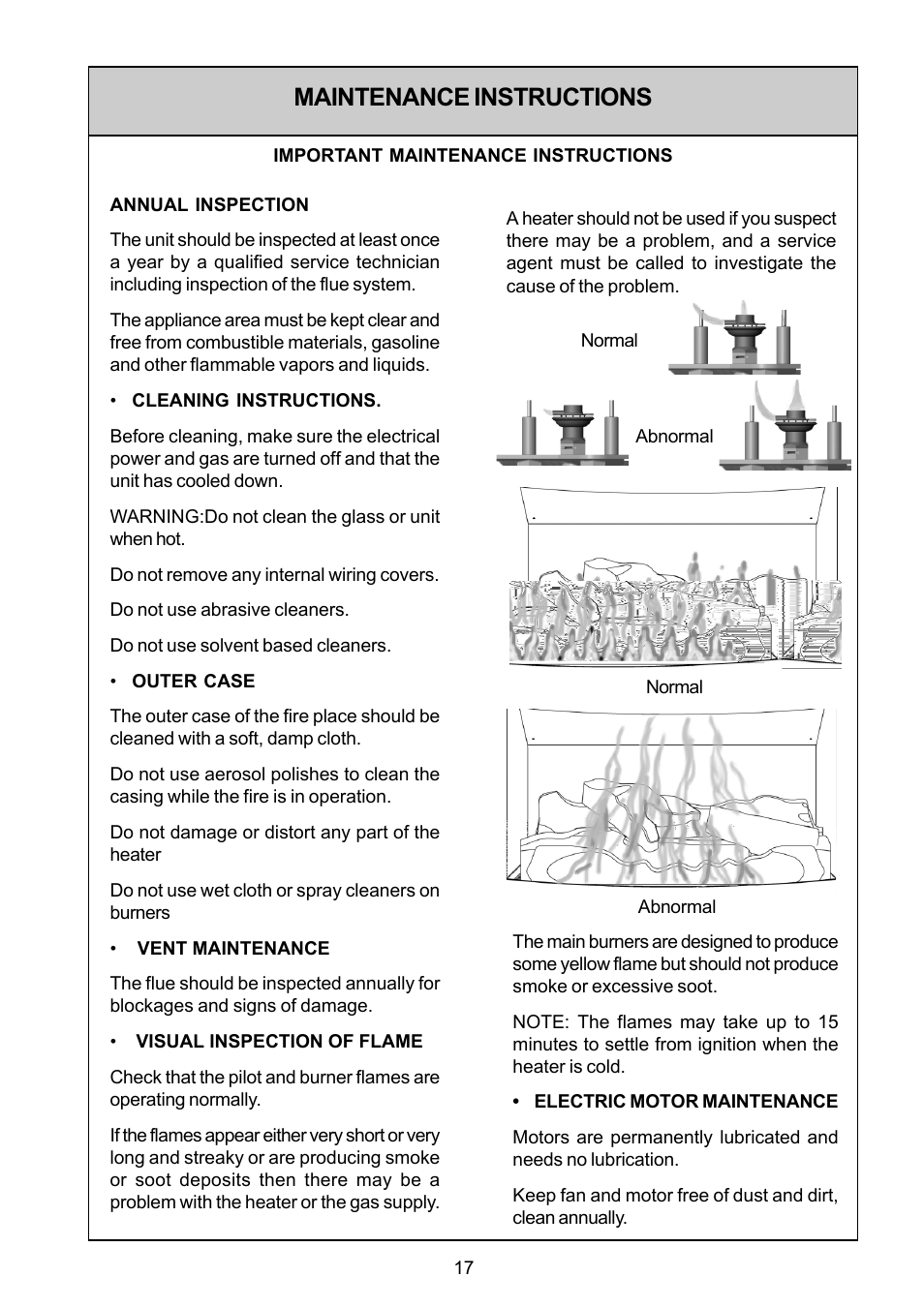 Maintenance instructions | Rinnai FS35ETRSN/US User Manual | Page 17 / 28