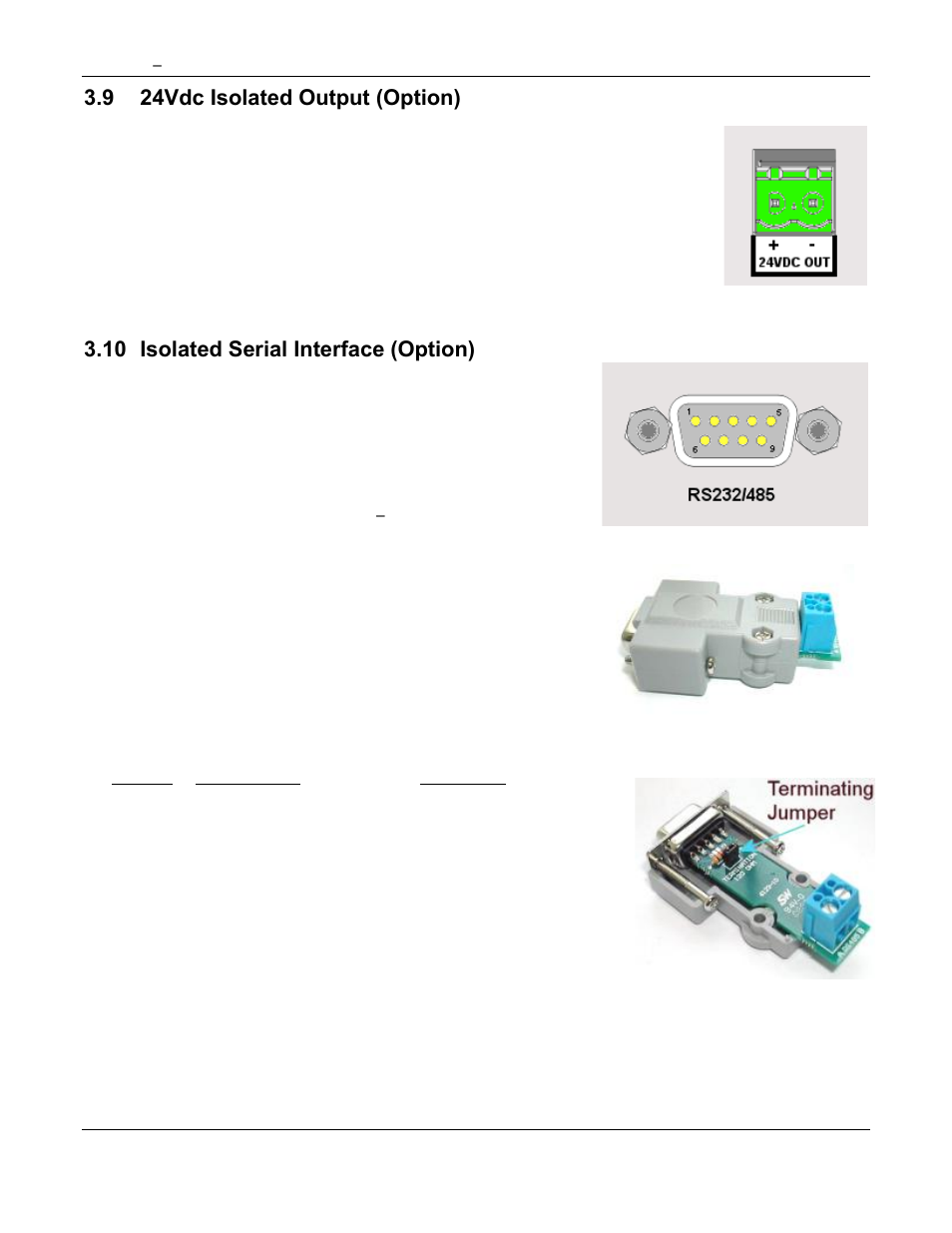 Functional description, Display elements, Live display area | Task bar, Fuctional description, 9 24vdc isolated output (option), 10 isolated serial interface (option) | Omega Speaker Systems Rercorder RD8300 User Manual | Page 32 / 114