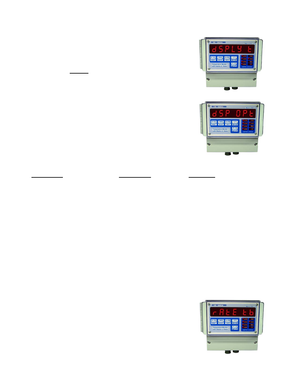 Program controller' mode, Isplay, Ption | Omega Speaker Systems DPS3301 User Manual | Page 10 / 26
