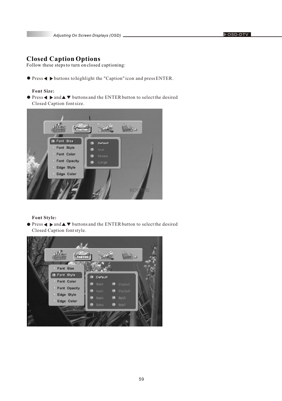 Closed caption options | Olevia LT37HVS User Manual | Page 61 / 87