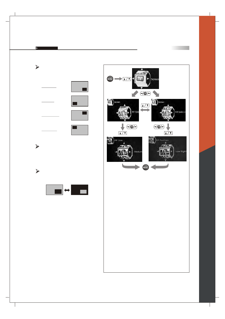 English, Pip size, Swap | Pip position | Olevia 265T FHD User Manual | Page 48 / 75