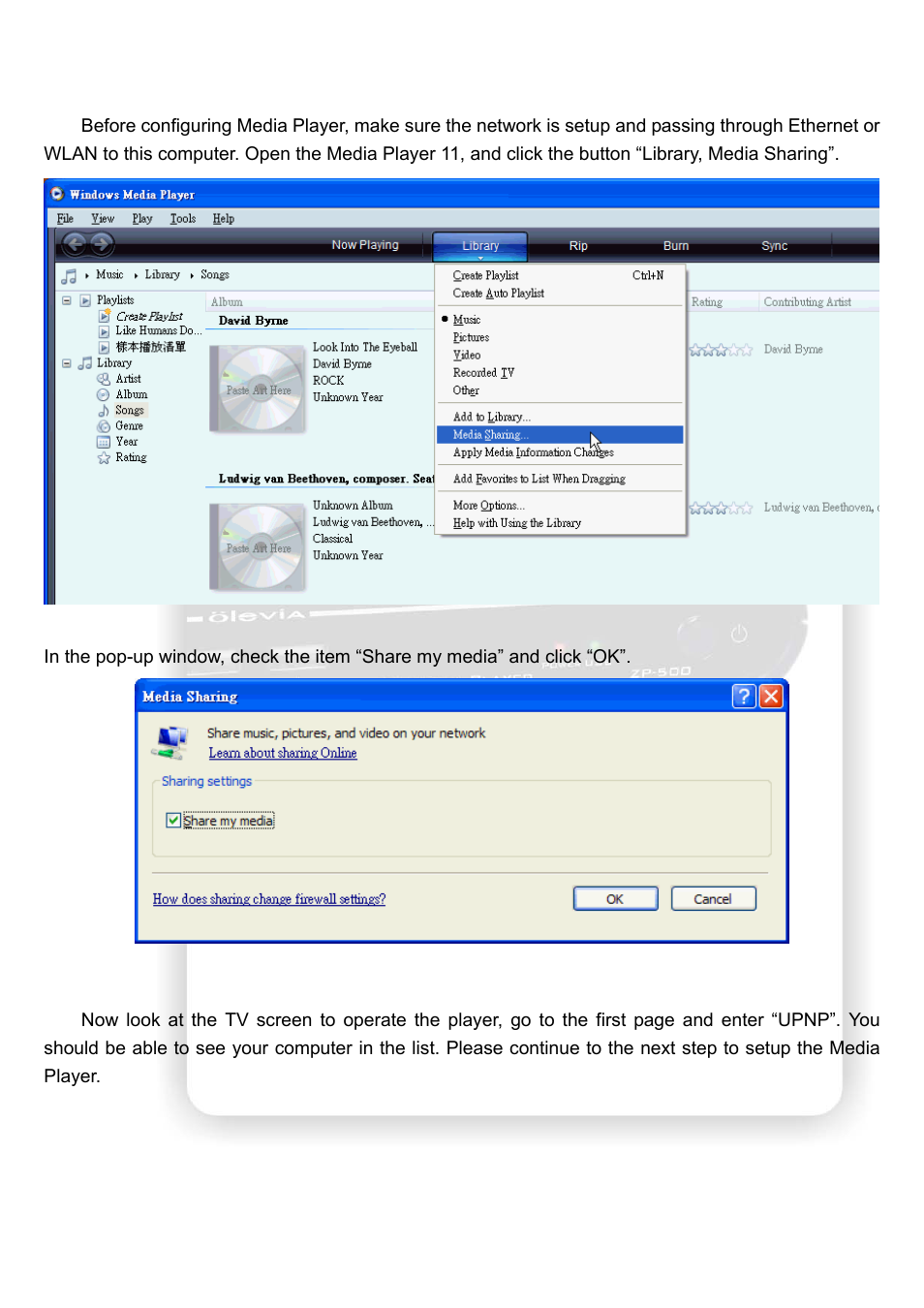Olevia HD Multimedia Player ZP-500 User Manual | Page 38 / 47