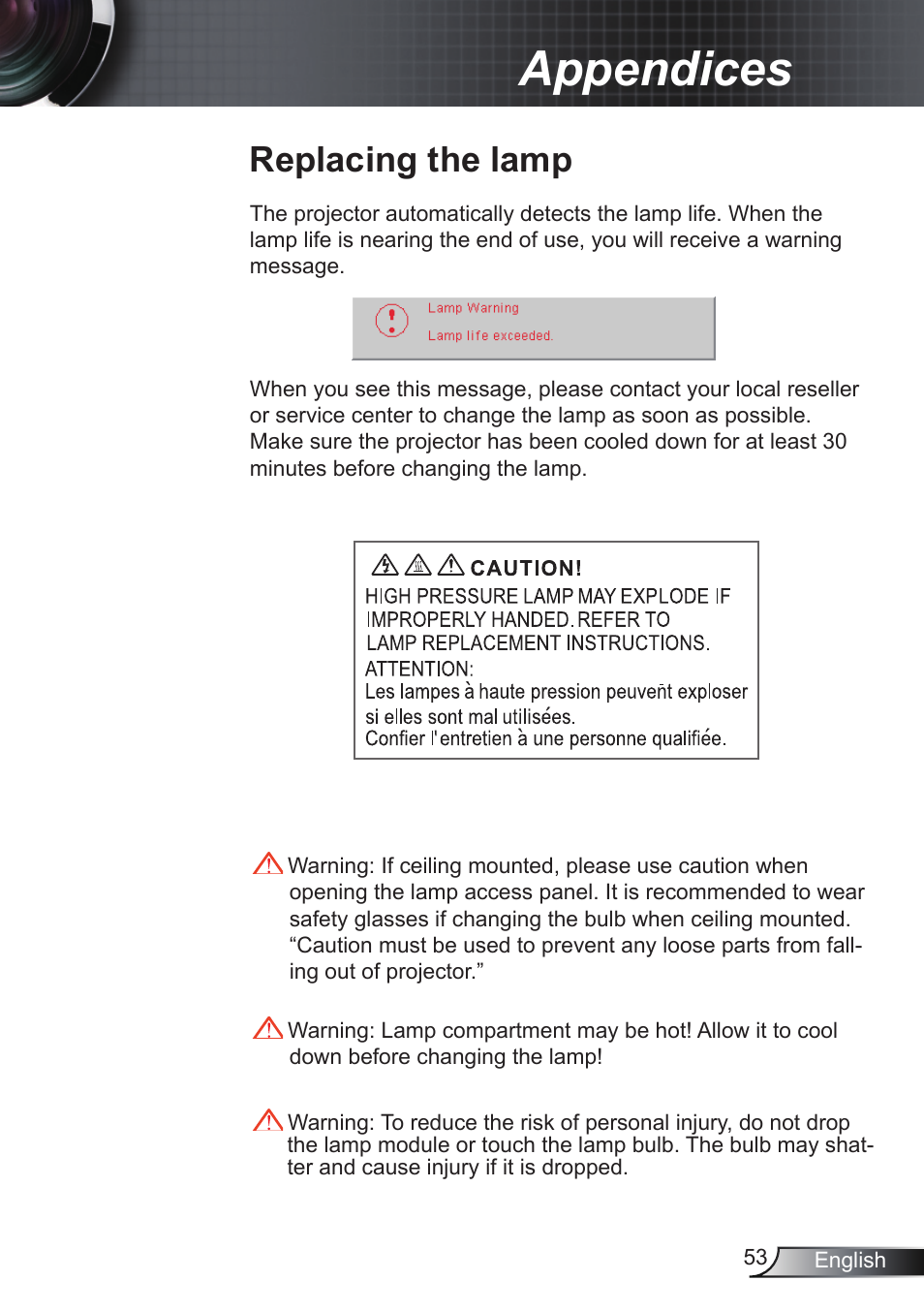 Appendices, Replacing the lamp | Optoma RS232 User Manual | Page 53 / 66