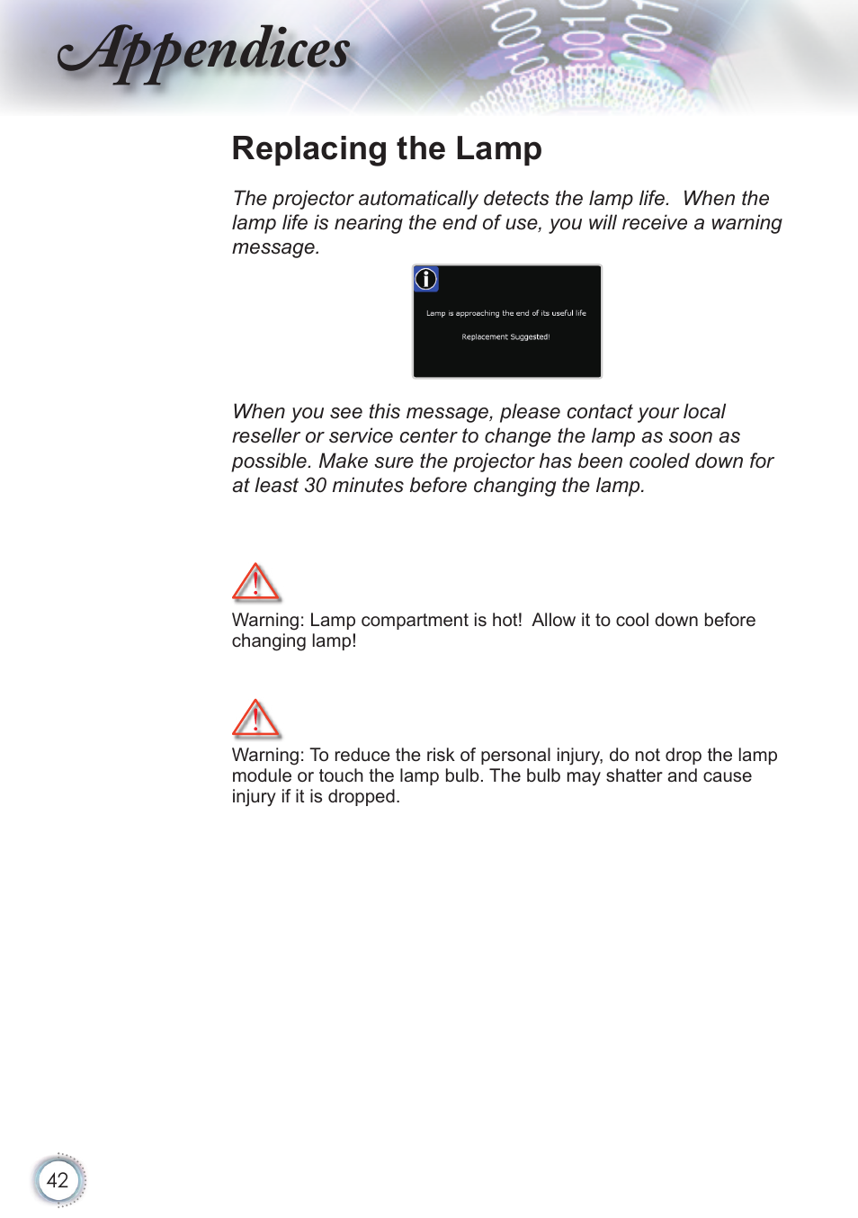 Appendices, Replacing the lamp | Optoma HD82 User Manual | Page 42 / 52