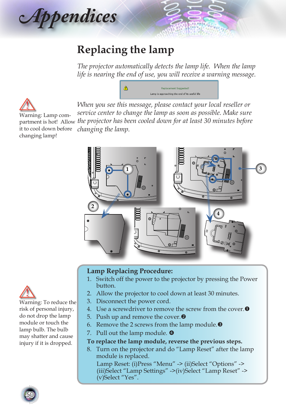 Appendices, Replacing the lamp | Optoma TSFN-IR01 User Manual | Page 50 / 60