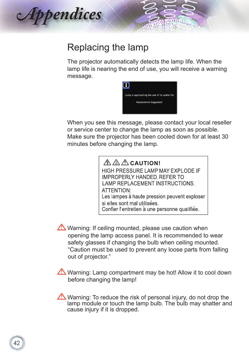 Appendices, Replacing the lamp | Optoma HD20 User Manual | Page 42 / 50