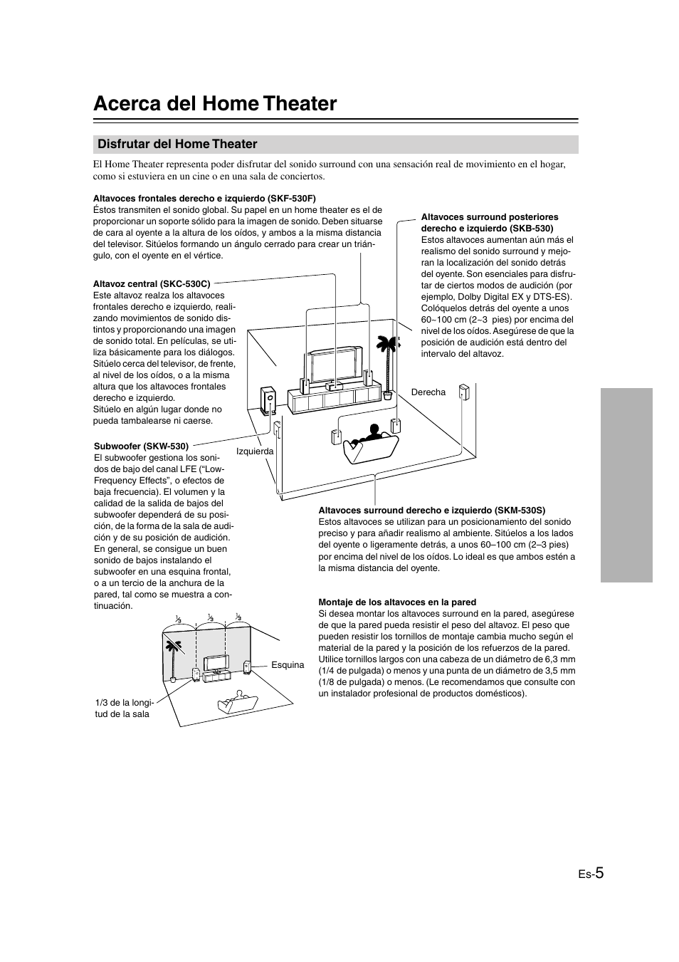 Acerca del home theater, Disfrutar del home theater, Instalación y utilización | Onkyo SKS-HT530 User Manual | Page 13 / 32