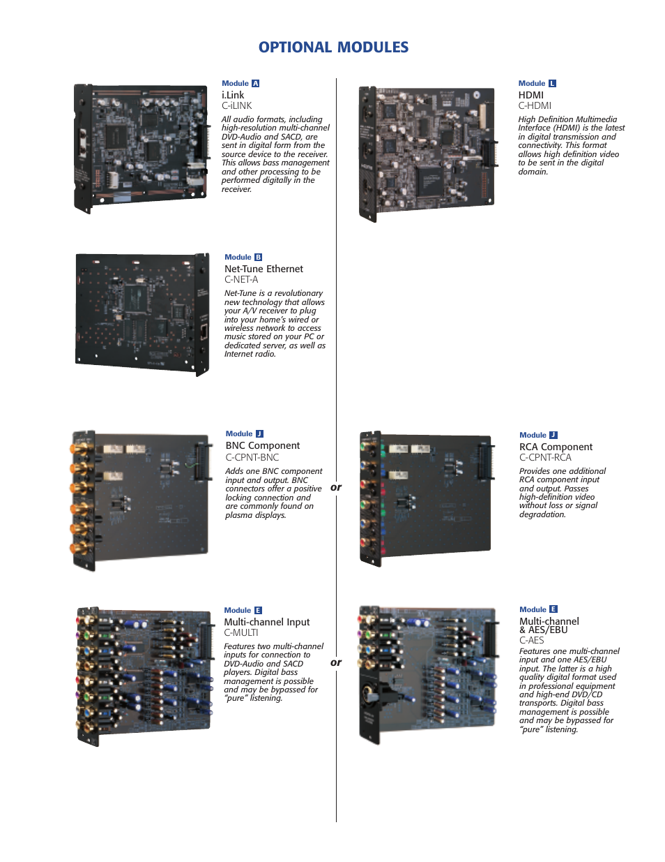 Optional modules | Onkyo DTR-10.5 User Manual | Page 5 / 6