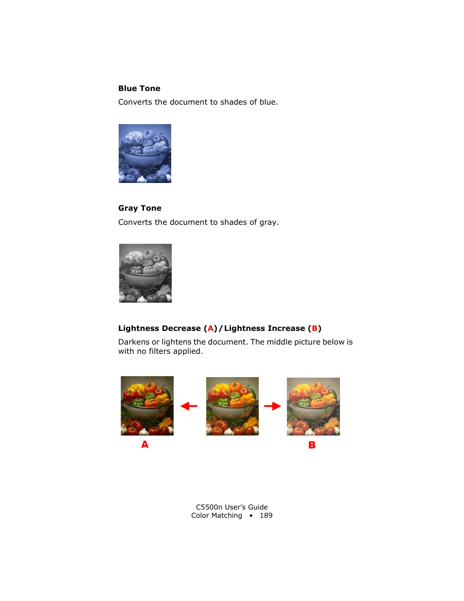 Blue tone, Gray tone, Lightness decrease (a) / lightness increase (b) | Oki C 5500n User Manual | Page 189 / 250