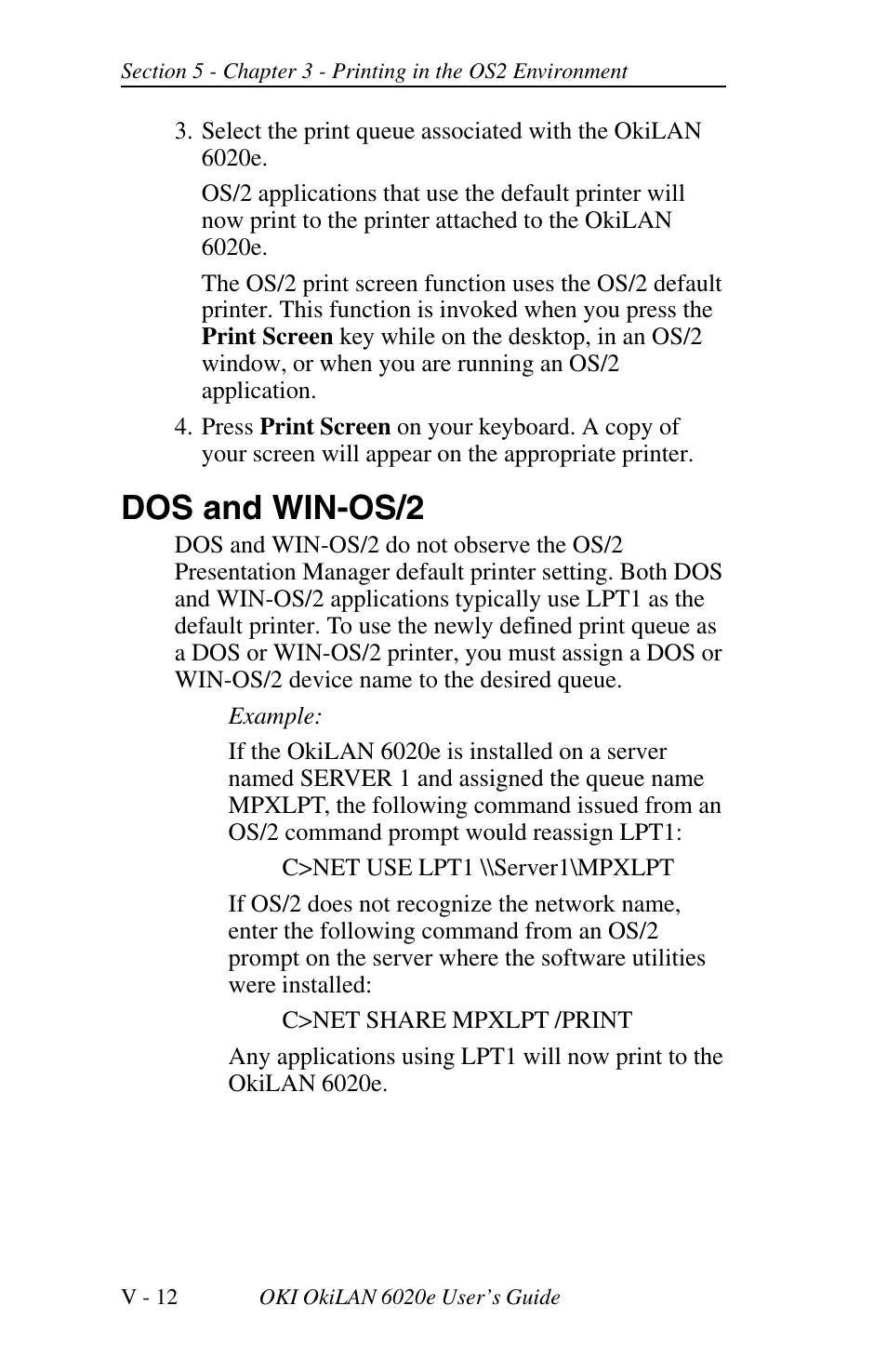 Dos and win-os/2 | Oki lan 6020E User Manual | Page 176 / 226