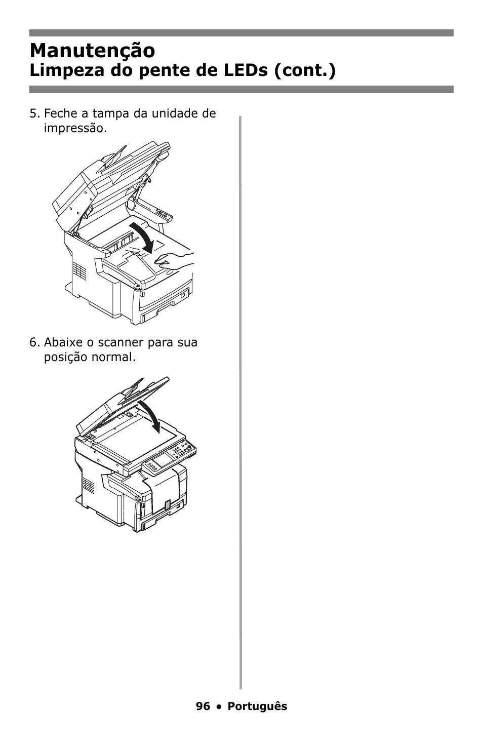 Manutenção, Limpeza do pente de leds (cont.) | Oki MC860 MFP User Manual | Page 96 / 103
