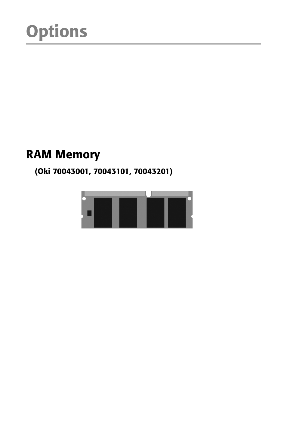 Options, Ram memory | Oki ES 1624n MFP User Manual | Page 139 / 326