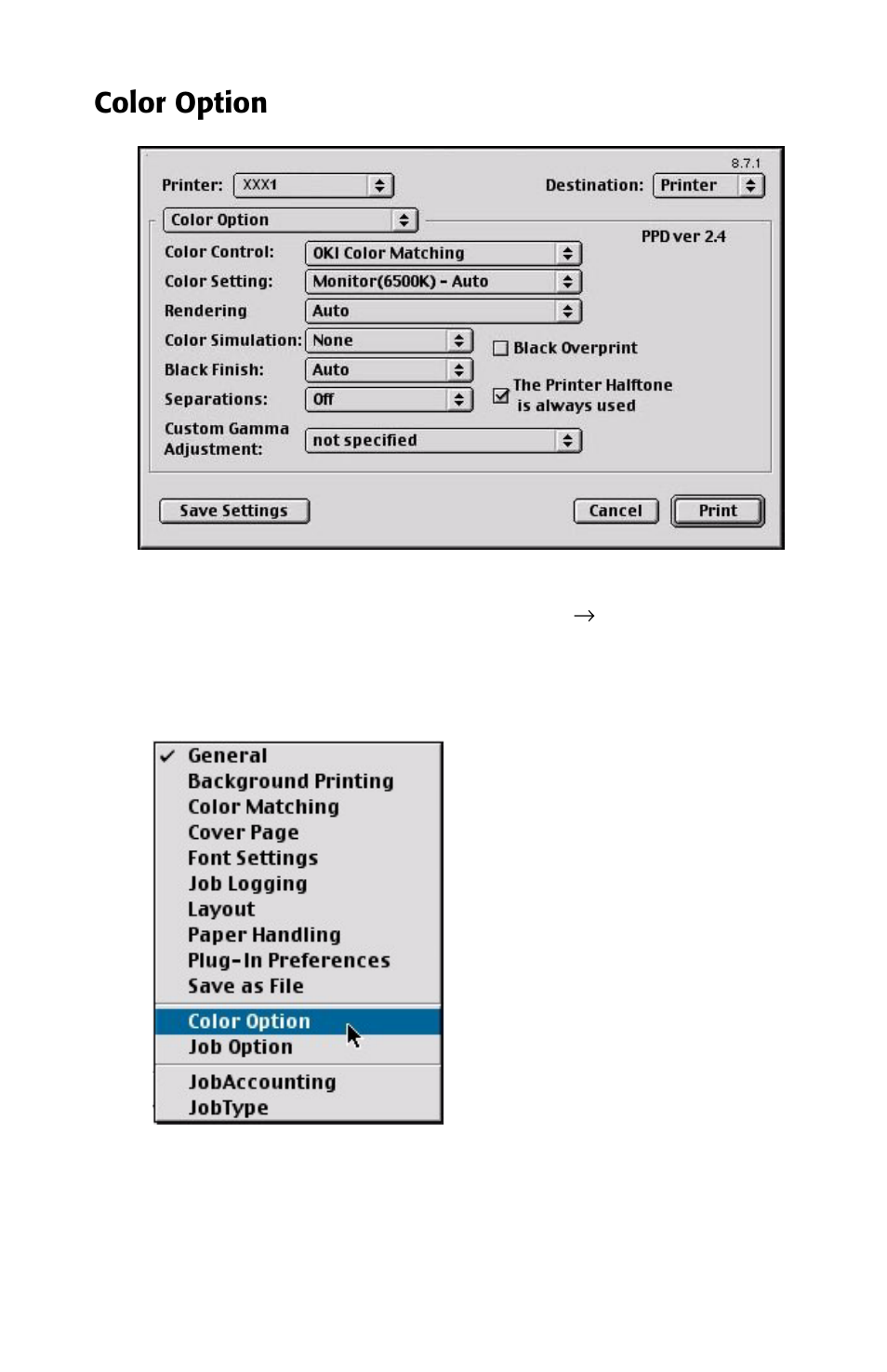Color option | Oki 2426 User Manual | Page 13 / 94