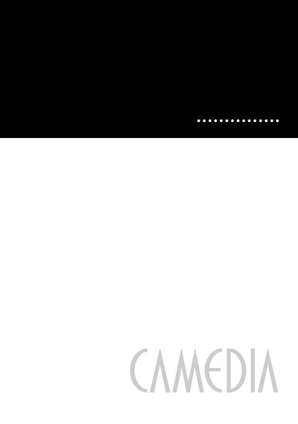 Appendix | Olympus C-211 User Manual | Page 191 / 212