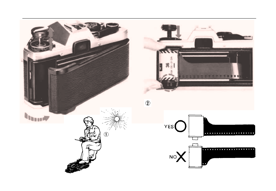 Loading the film | Olympus OM 10 User Manual | Page 12 / 51