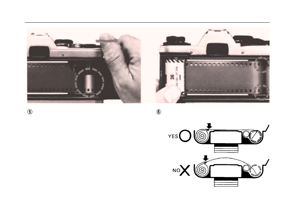Olympus OM 10 User Manual | Page 14 / 51