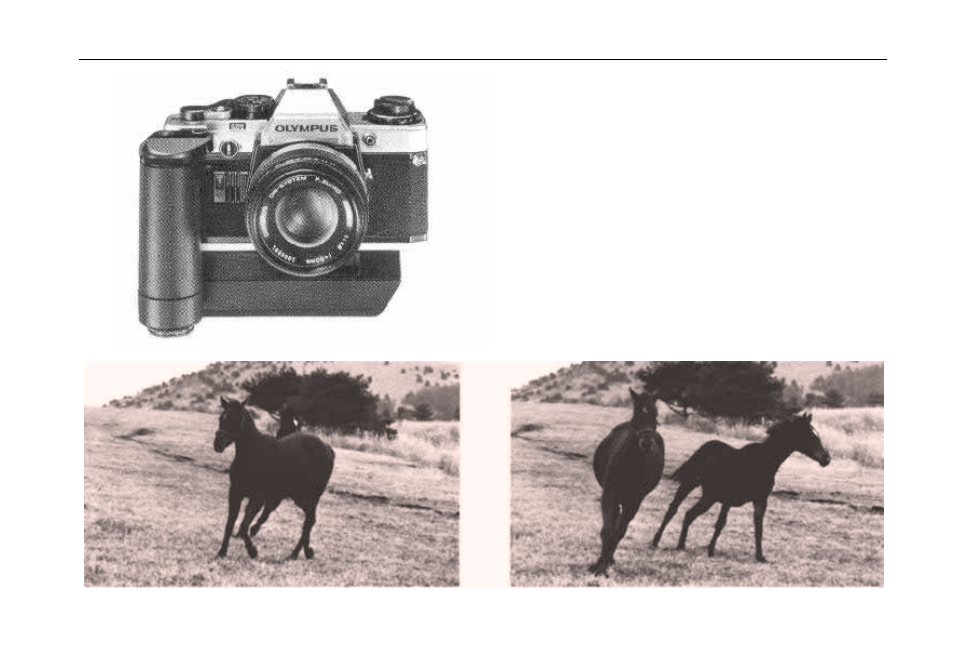 Using the winder 2 | Olympus OM 10 User Manual | Page 34 / 51