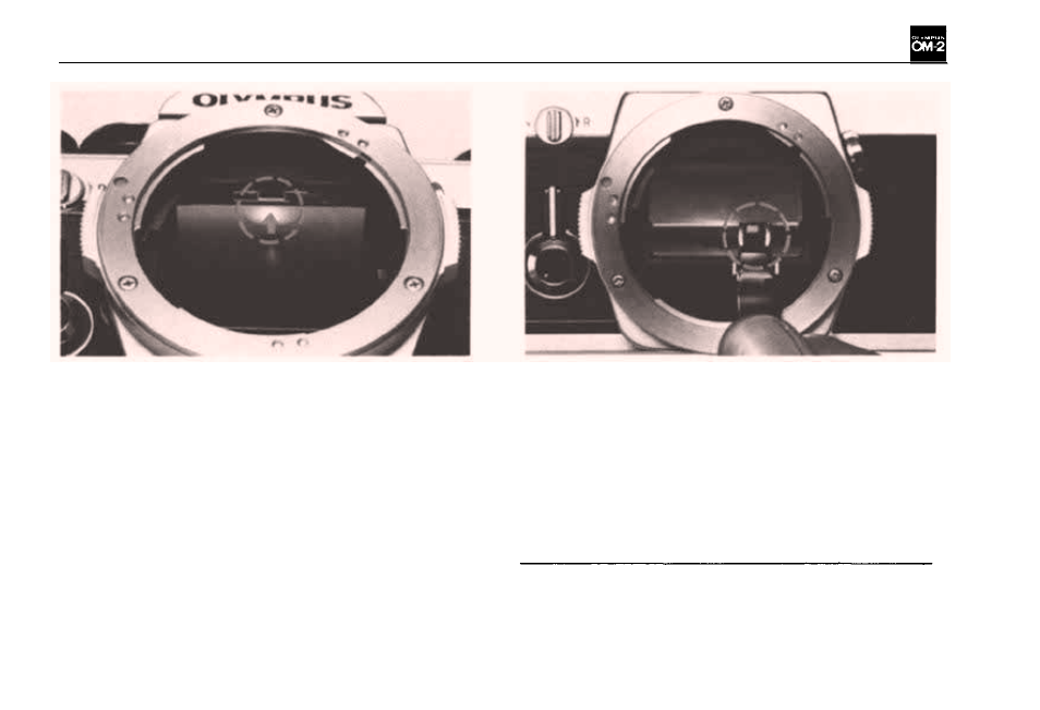 Interchangeable focusing screens | Olympus OM-2 User Manual | Page 29 / 101