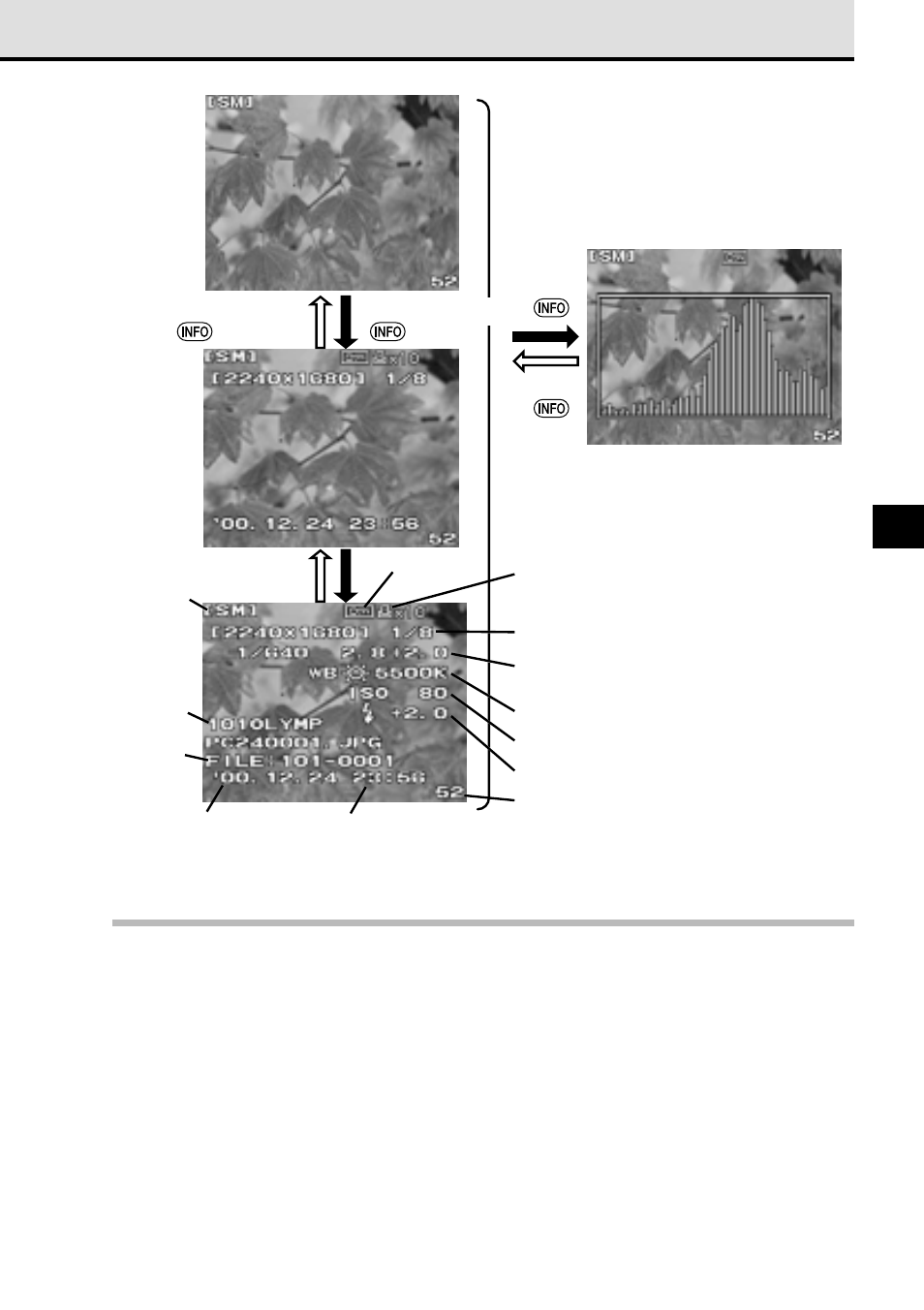 Olympus CAMEDIA E 10 User Manual | Page 141 / 203