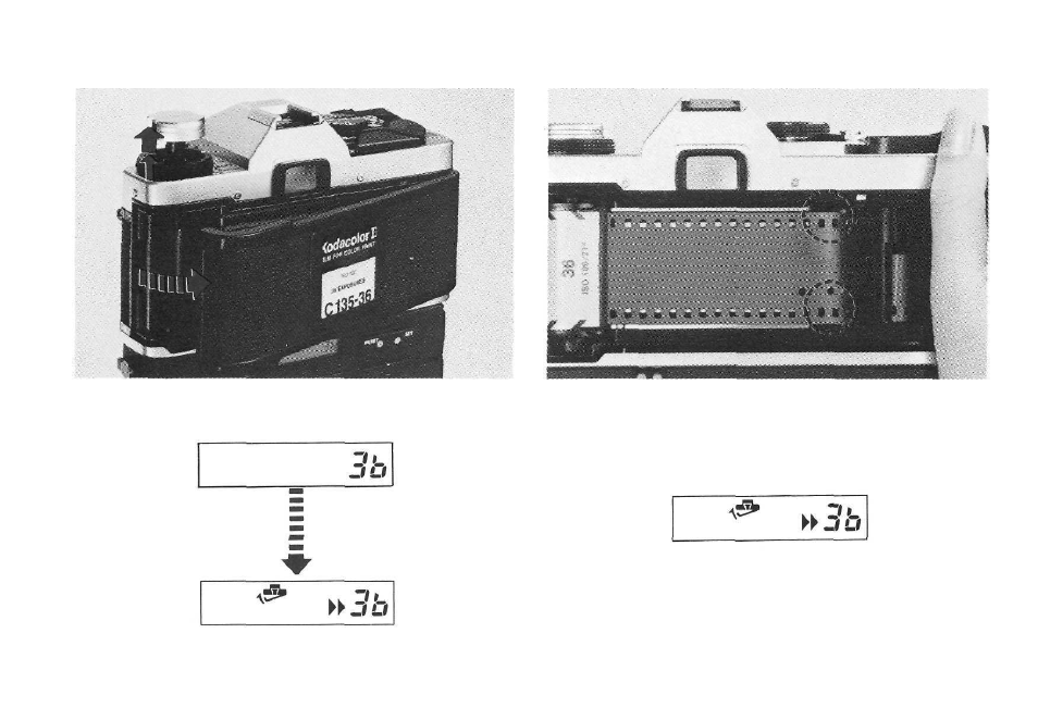 Olympus Motor Drive 2 User Manual | Page 16 / 33