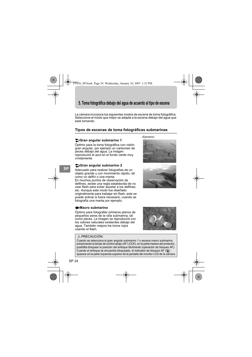 Escena, Tipos de escenas de toma fotográficas submarinas | Olympus PT-036 User Manual | Page 176 / 268