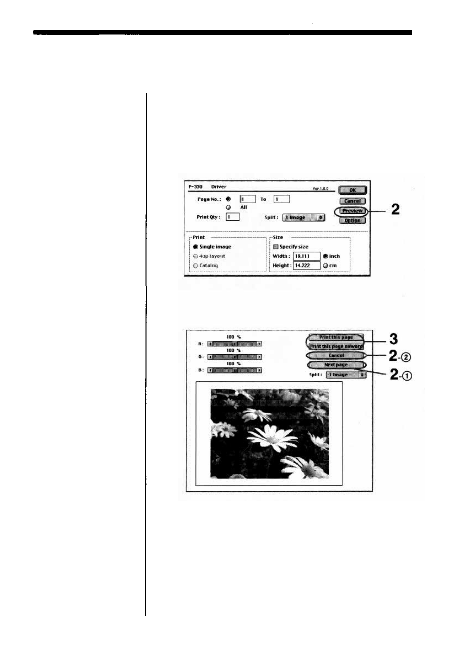 Previewing the image | Olympus CAMEDIA P-330N User Manual | Page 39 / 79