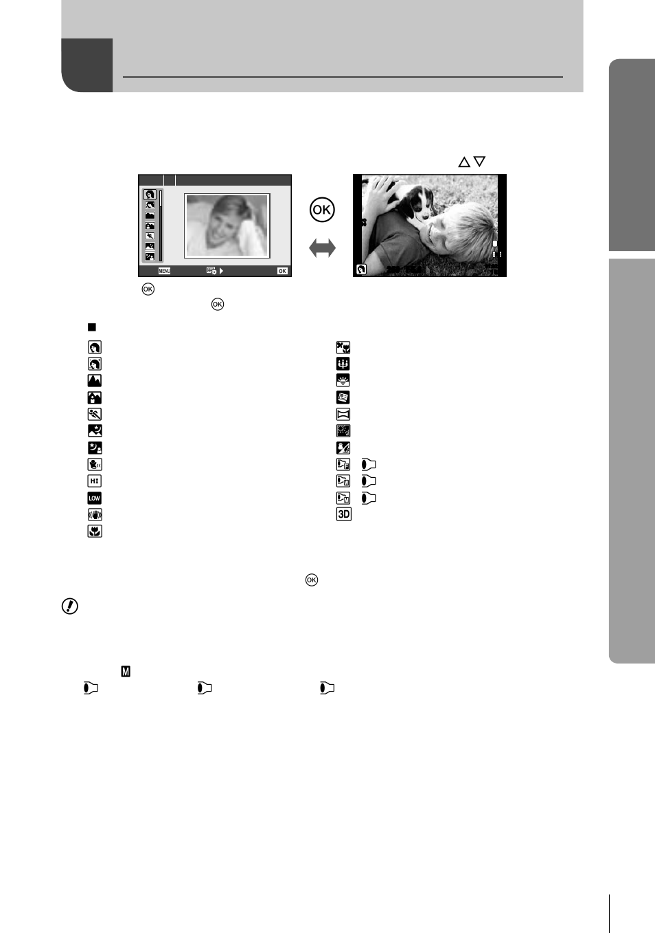 Shooting in scene mode, Basic guide, Basic operations | Rotate the mode dial to scn, Shoot | Olympus E-P3 User Manual | Page 17 / 127