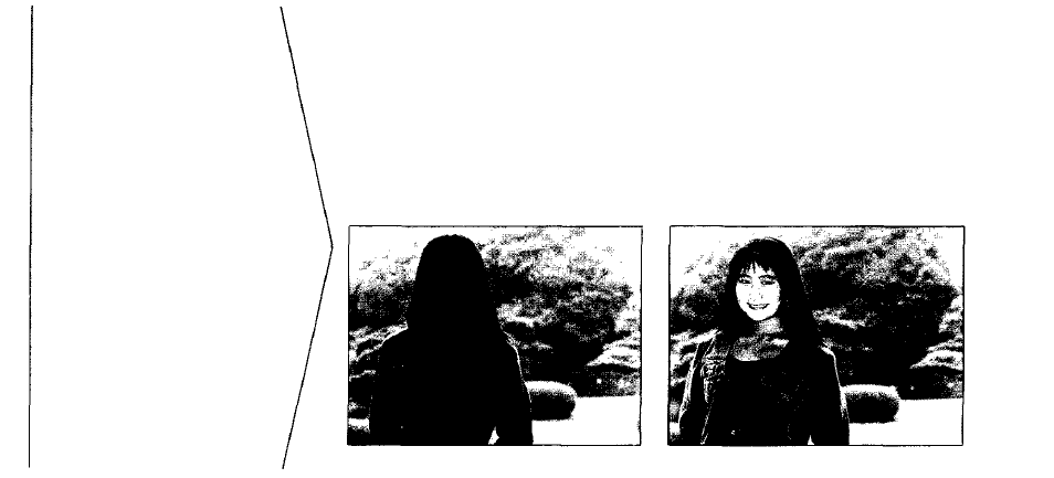 Fill-in flash | Olympus infinity zoom 210 User Manual | Page 39 / 50