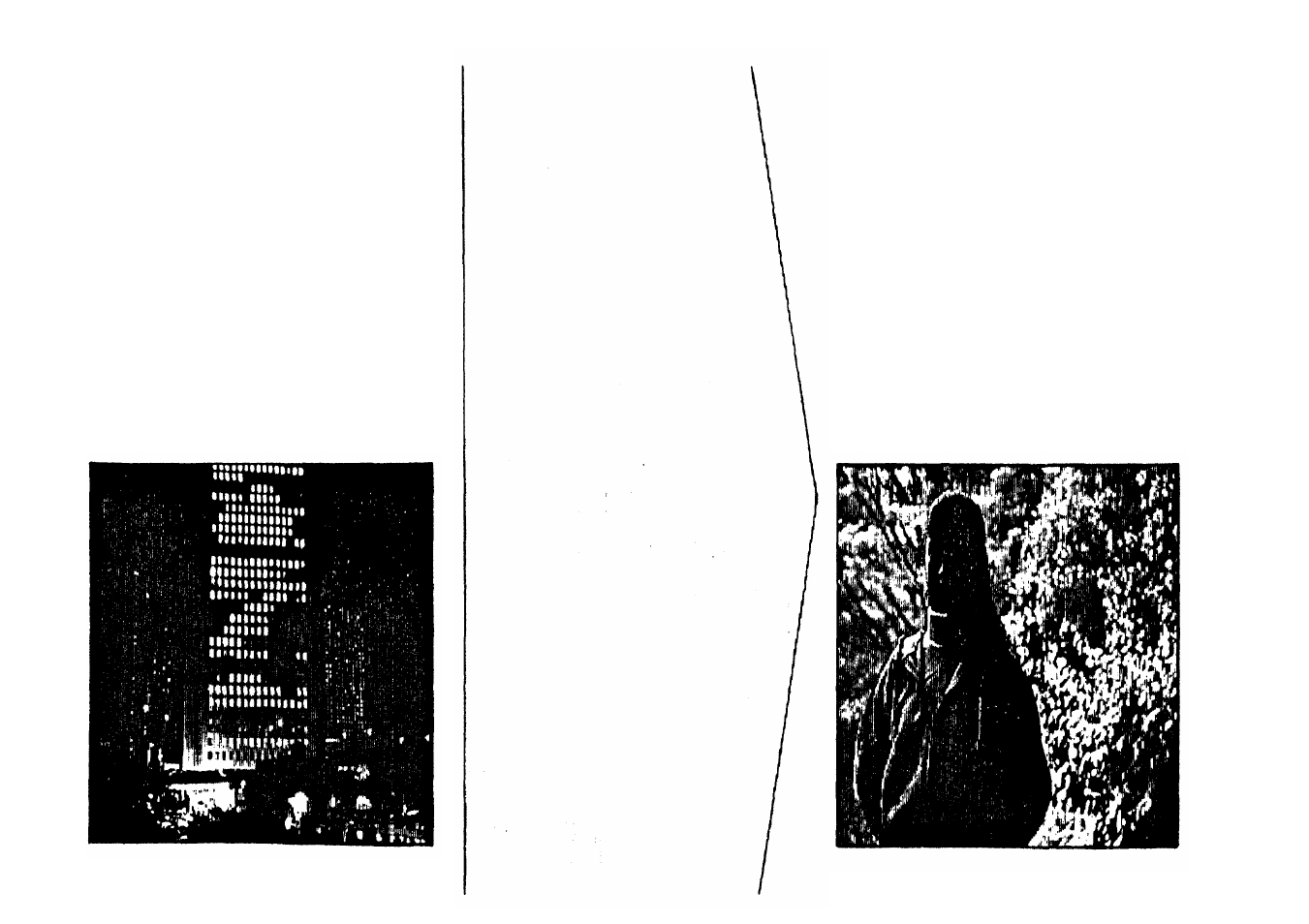 Fill- in flash, Fill-in flash | Olympus Zoom230 User Manual | Page 43 / 55