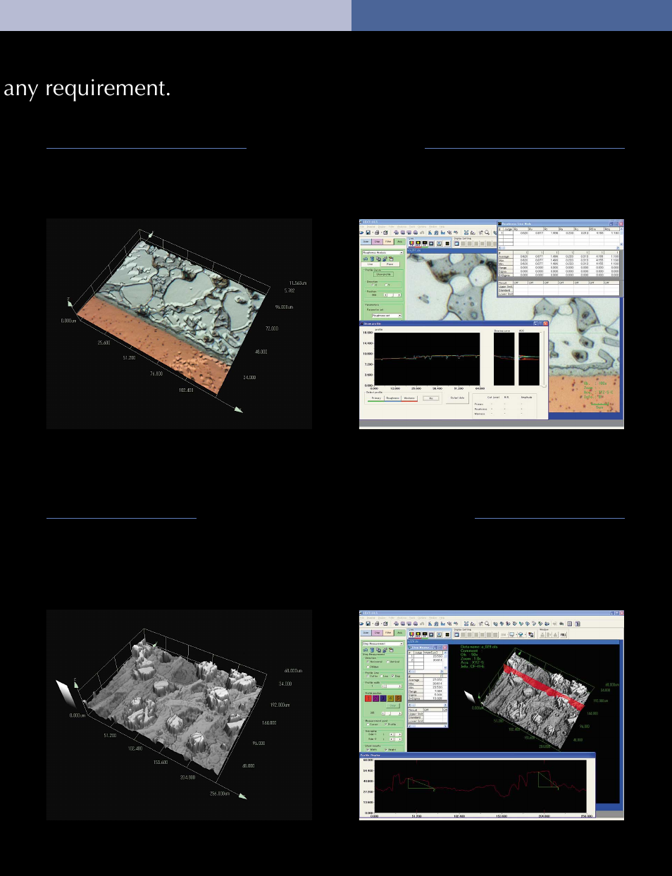 Any requirement | Olympus OLS3100 User Manual | Page 13 / 16